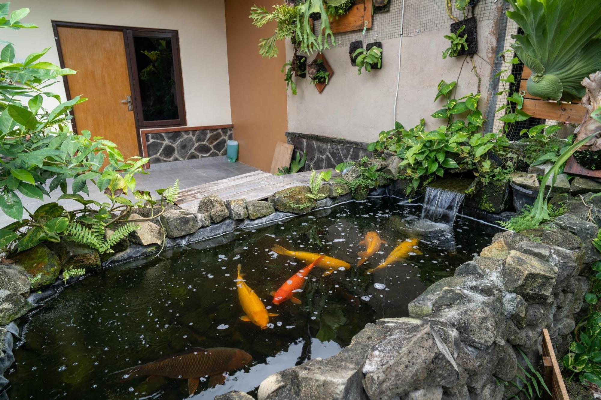 Vinaya Homestay Убуд Экстерьер фото